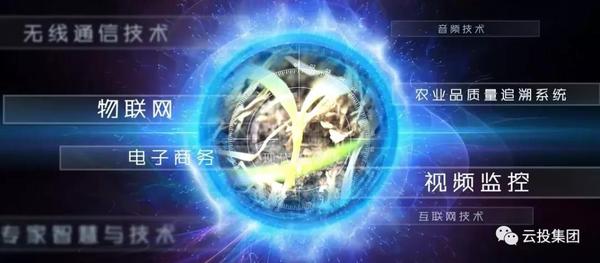 微信图片_20181119150152.jpg