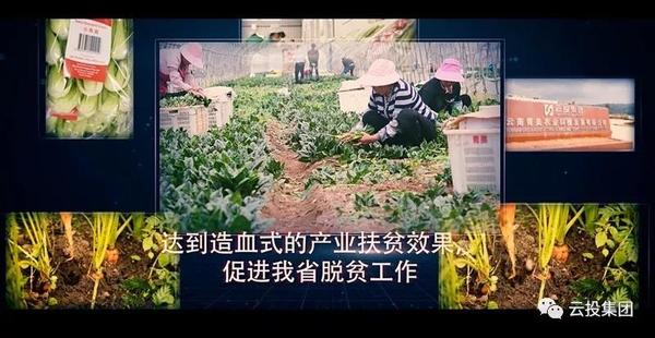 微信图片_20181119150652.jpg